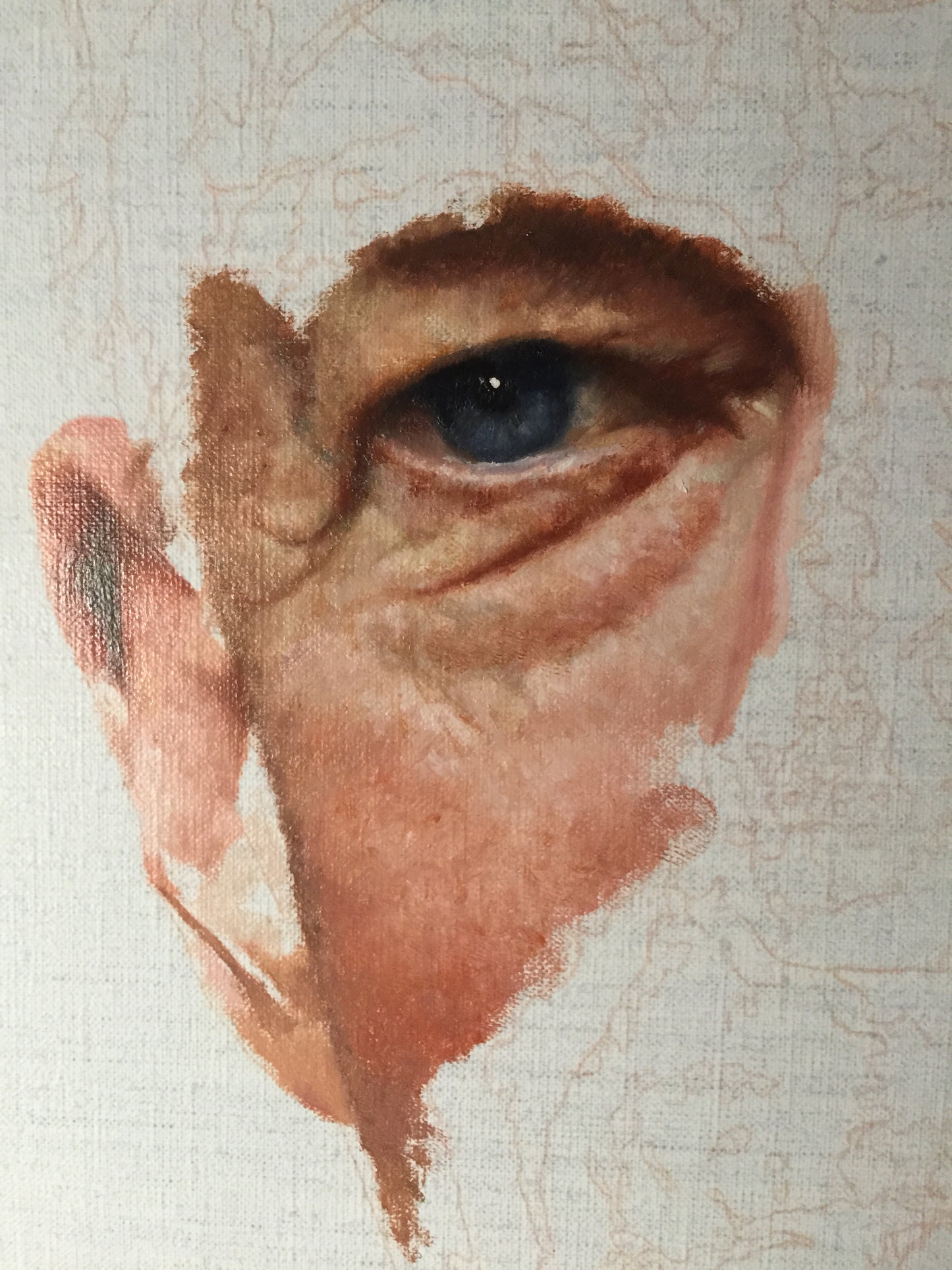 Professor Ian Frazer AC